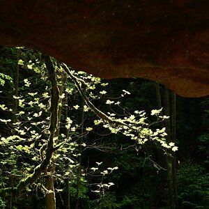 DSC_1169_00001n.jpg