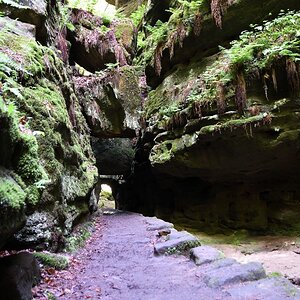 DSC_1147_00001_01n.jpg