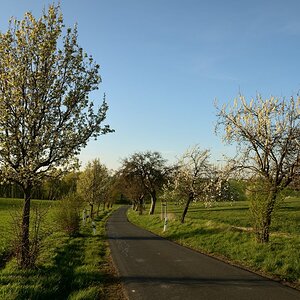 DSC_6679_00001n.jpg