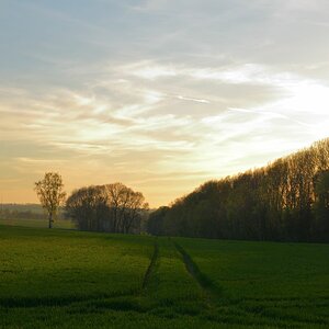 DSC_6718_00001_01n.jpg