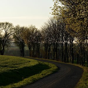 DSC_0983_00001n.jpg
