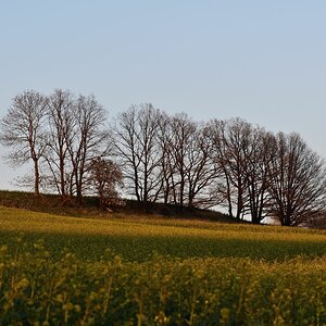 DSC_0996_00001n.jpg
