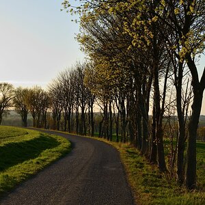 DSC_6643_00001n.jpg