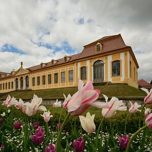 DSC_0209_00001n.jpg