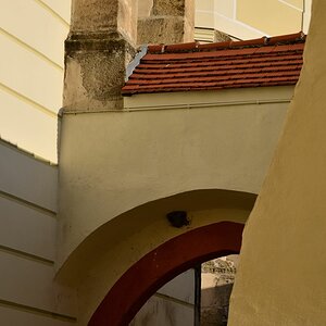 DSC_6375_00001n.jpg