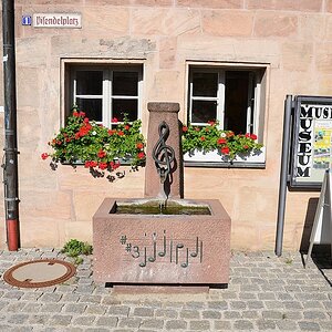DS7_4574.jpg