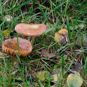 DS7_4623.jpg