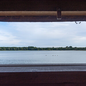 OF2_43454.jpg