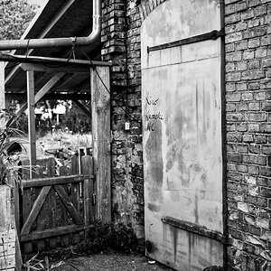 DSC_1343.jpeg