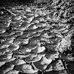 Trockenheit
