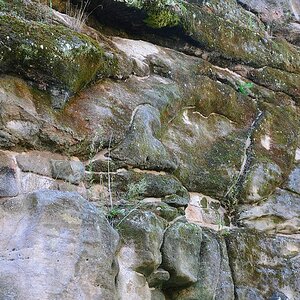 DS7_4570.jpg