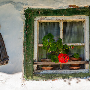 HAR_7177-2.jpg