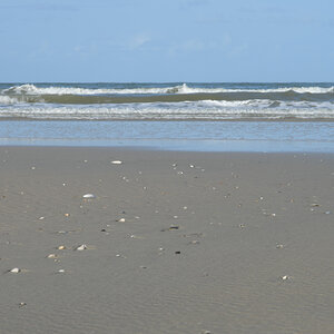 20200910_165923_nf.jpg