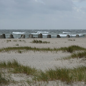 DSC_5871.JPG