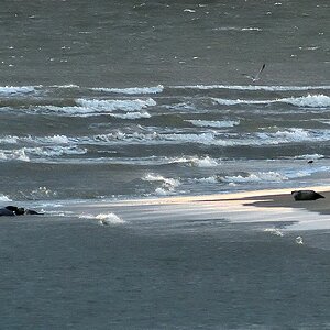 20200909_193317_nf.jpg