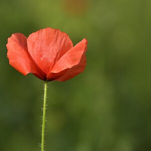 Compressed_0085.jpg