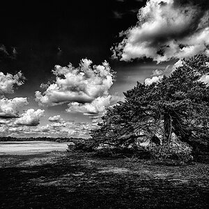 DSCF7945-web.jpg