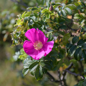 20200910_151528_nf.jpg
