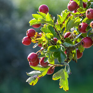 20200910_151943_nf.jpg
