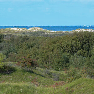 20200910_152626_nf.jpg