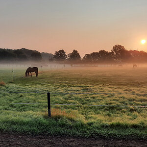 Sonnenaufgang.jpg