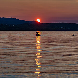 Z7H_0697.jpg