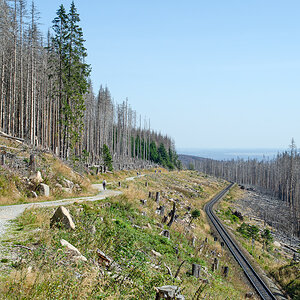 OF-60233.jpg