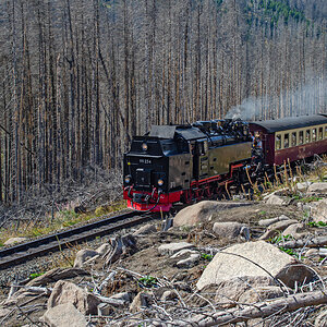OF-60253.jpg