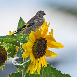 OF5_04445.jpg