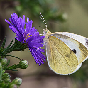 OF5_04381.jpg