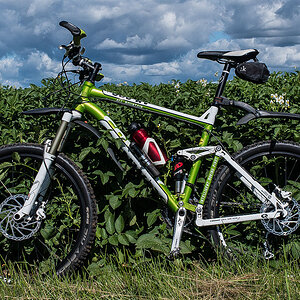 Kartoffelbike-8505.JPG