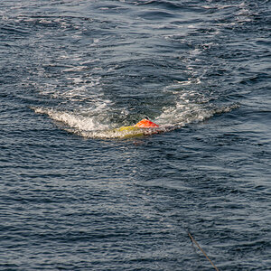 200919 AL545 NF-F-1.jpg