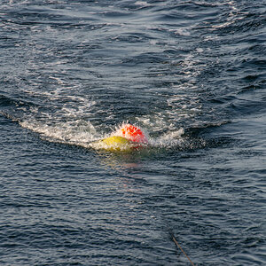 200919 AL545 NF-F-4.jpg