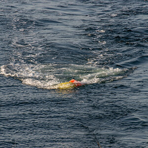 200919 AL545 NF-F-11.jpg