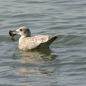 DSC_2784_DxO_DxO.jpg