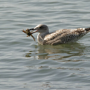 DSC_2785_DxO_DxO.jpg