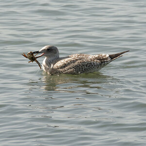 DSC_2786_DxO_DxO.jpg