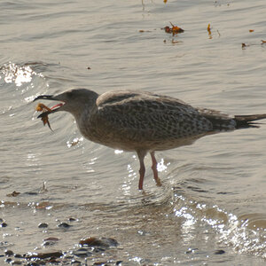 DSC_2787_DxO_DxO.jpg