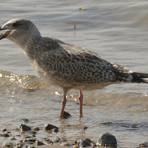 DSC_2789_DxO_DxO.jpg