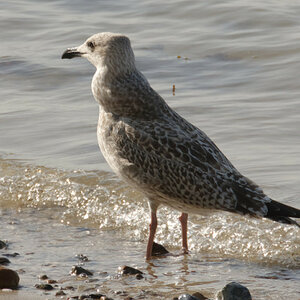 DSC_2790_DxO_DxO.jpg