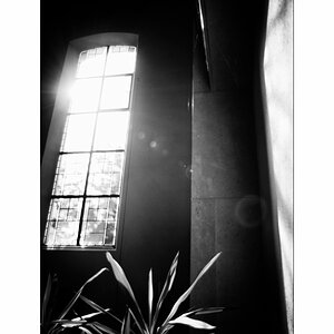 SasaDSC_0880.jpg