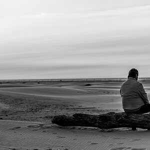 HAR_8018-2.jpg