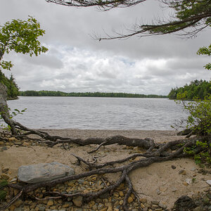 DSC_7326.jpg