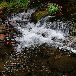 P1024514a_klein2.jpg