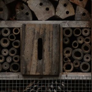 280mm.jpg