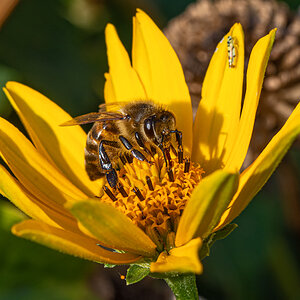 OF2_43958.jpg