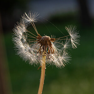 OF2_44010.jpg