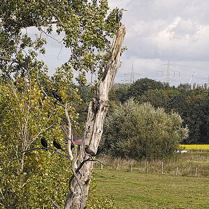 _9240177KAxl.jpg