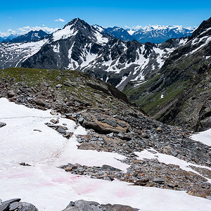 Ötztaler Alpen im Frühsommer-"Blutschnee" im Vordergrund1643.jpg