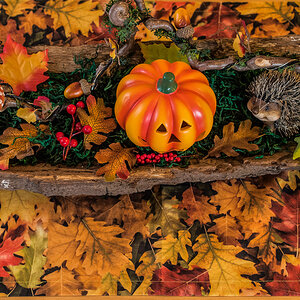 Herbstdeko 2 (1 von 1).JPG